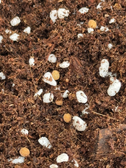 Multicote, 6 Month Release Fertilizer