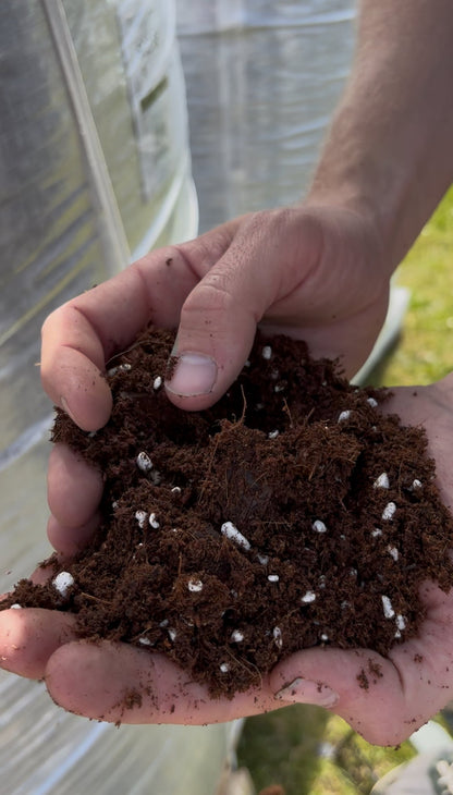 Our Aroid Mix 2 liters