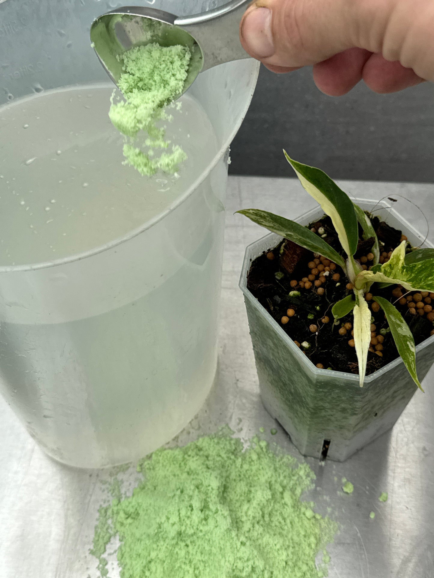 NPK 20-20-20 Fertilizer being mixed into water with a green powder near a potted plant. Ideal for balanced plant growth and year-round feeding.