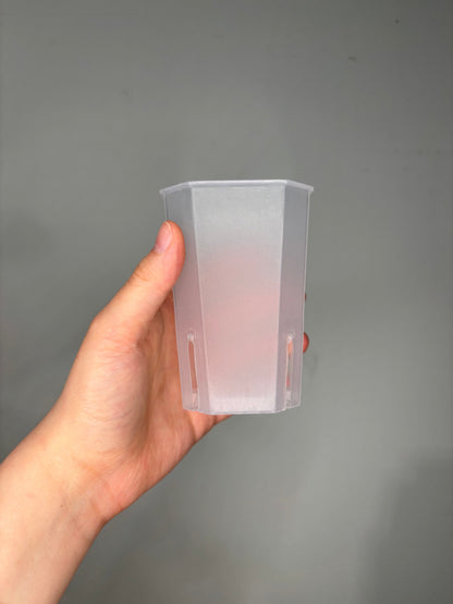 Small Transparent planter pot, 10x8cm, shown empty and held in hand, ideal for monitoring root growth in rare and tropical houseplants.