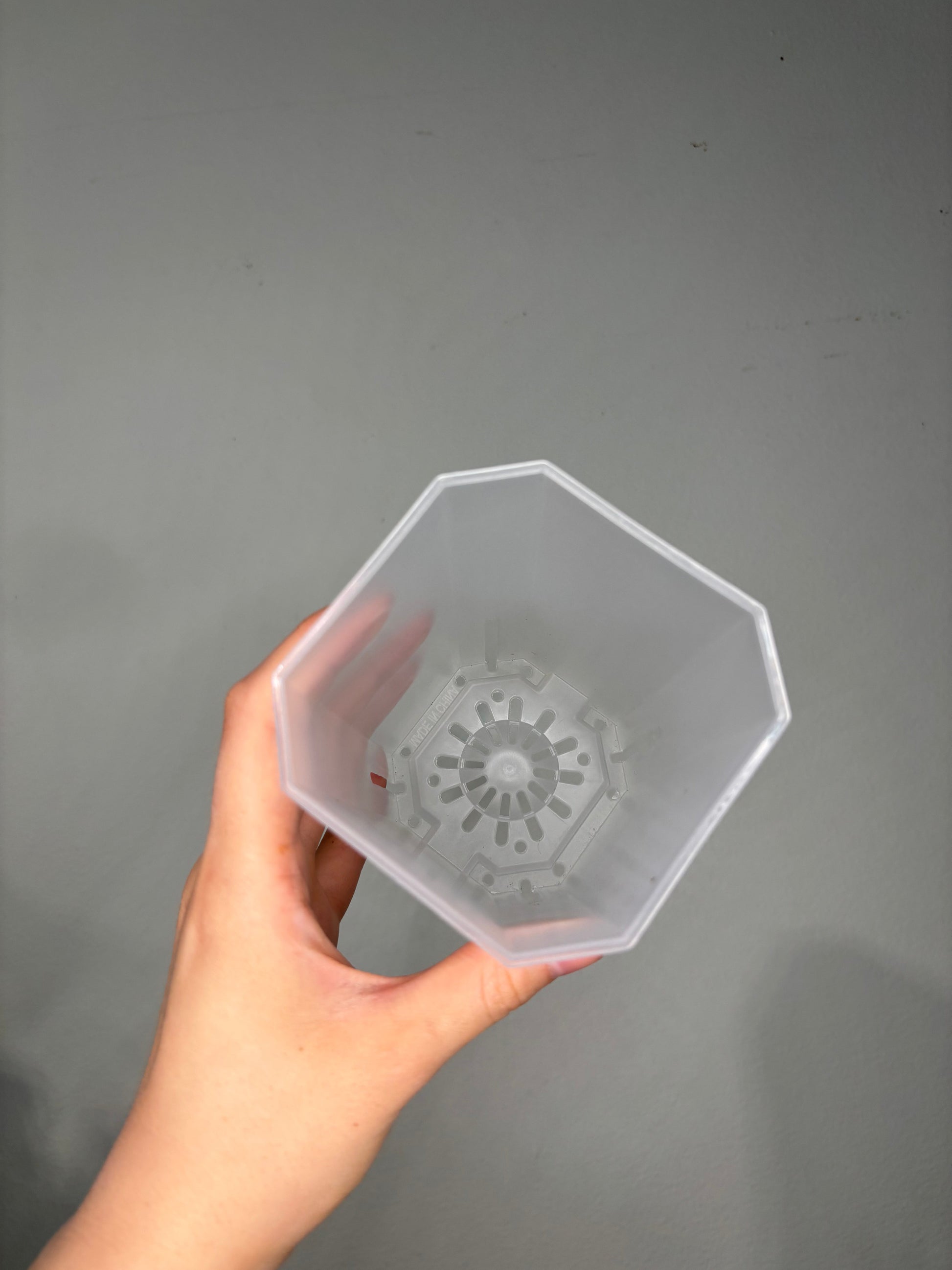 Top view of Large Transparent planter pot, 12x10cm highlighting its clear walls and internal drainage structure.