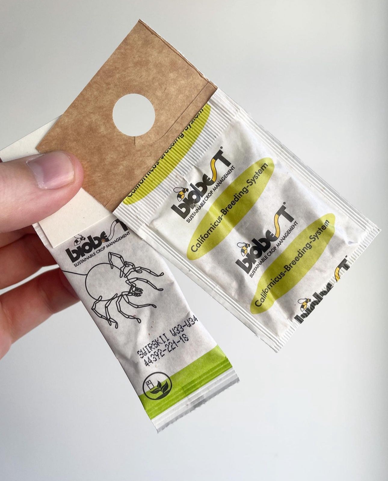 4x Bags Spider Mite and Thrips Control Subscription!