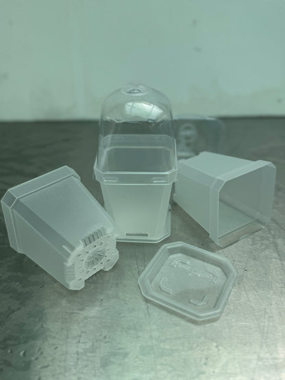 Transparent Plant Pot With Dome