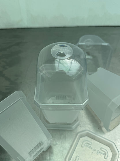 Transparent Plant Pot With Dome