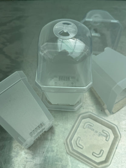 Transparent Plant Pot With Dome