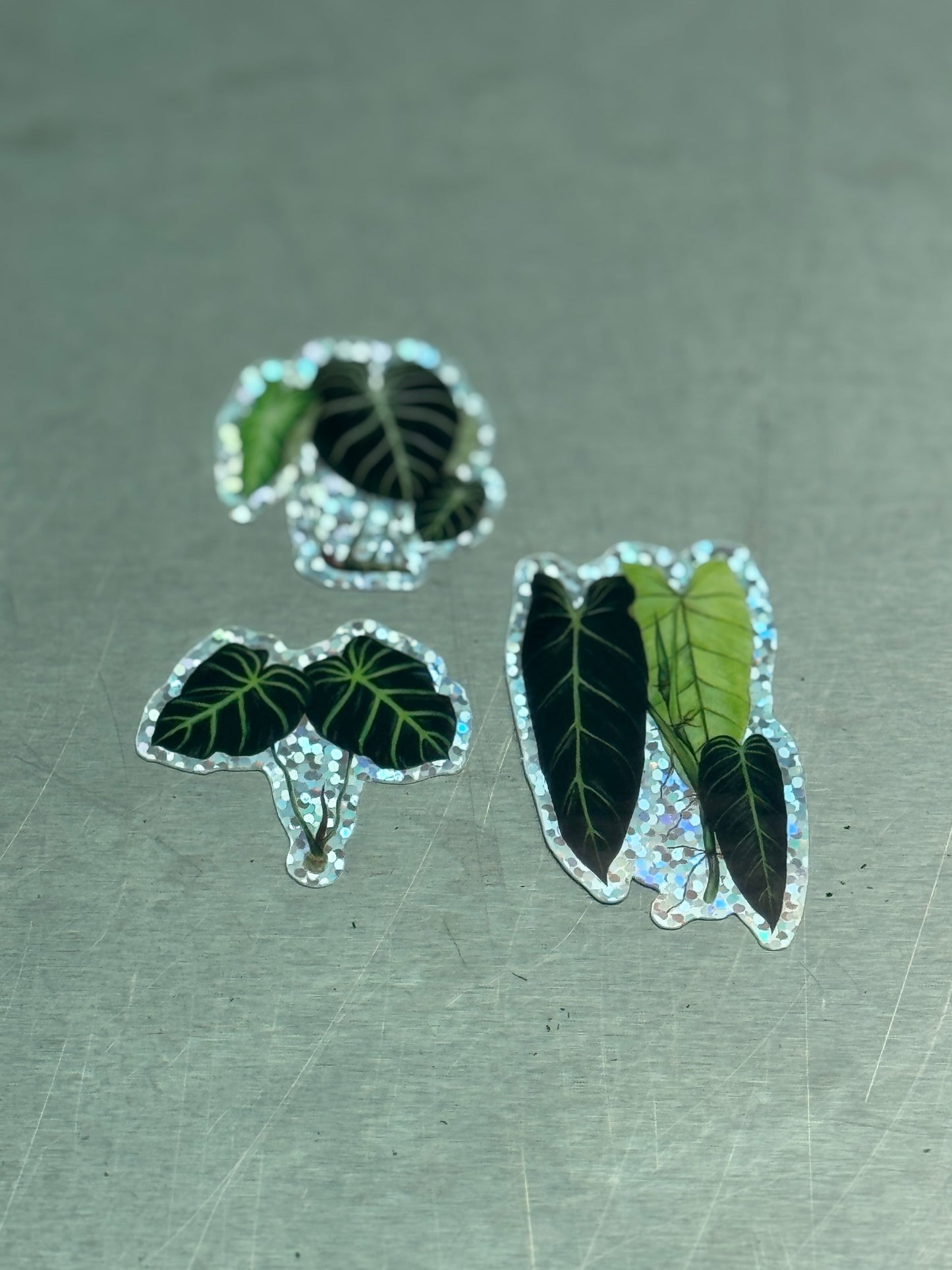 Mixed Planty Products - end price reflects the value of the products.